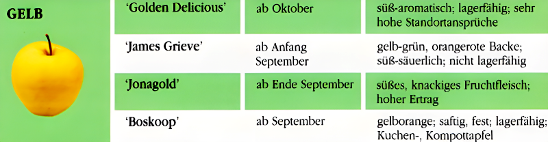 Apfelbaum pflanzen und pflegen. Alles, was Sie wissen müssen