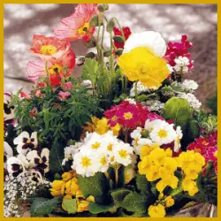 Ausgefallene Blumenkübel für Garten und Balkon