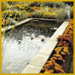 Gartenteich abdichten, so beheben Sie den Schaden!