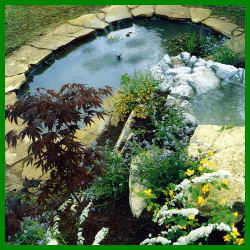 Gartenteich mit Folienboden: Für ein Kreatives Wasserspiel