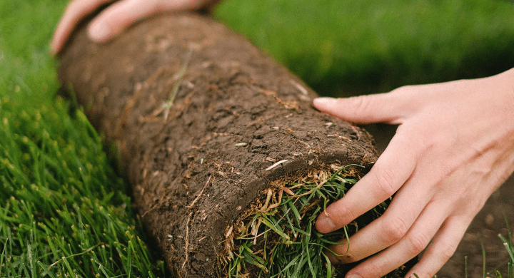 Grassoden verlegen, für eine perfekte Rasenfläche