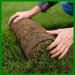 Grassoden verlegen, für eine perfekte Rasenfläche