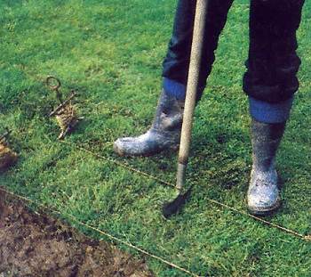 Grassoden verlegen, für eine perfekte Rasenfläche
