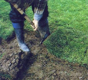 Grassoden verlegen, für eine perfekte Rasenfläche