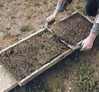 Grassoden verlegen, für eine perfekte Rasenfläche