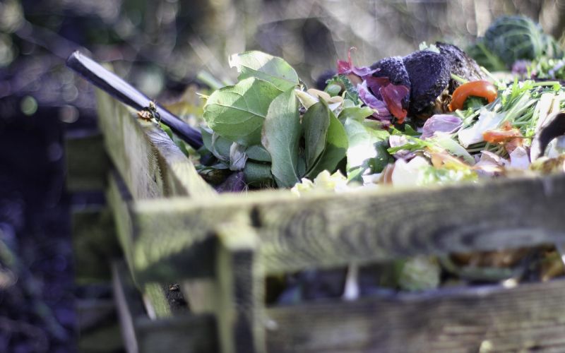 Kompost als Dünger. Gartenabfälle in Nährstoffe verwandeln