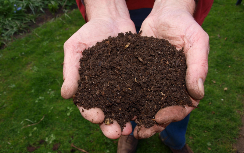 Kompost als Dünger. Gartenabfälle in Nährstoffe verwandeln