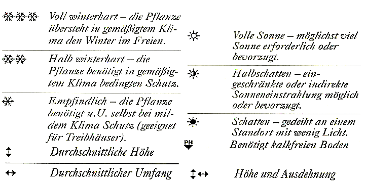 Stauden für schwere Lehmböden die sich gut anpassen