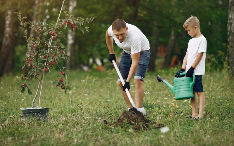 Problemböden im Garten. Lösungen für schwierige Gartenböden