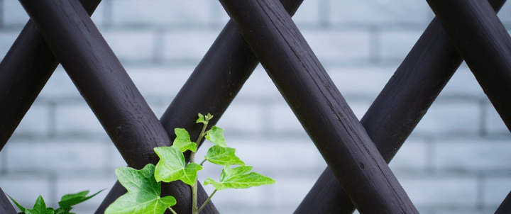 Rustikaler Gartenzaun aus Brettern für Ihren Garten