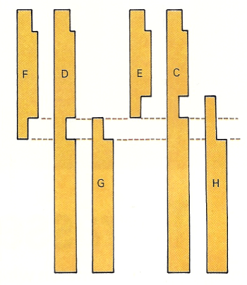 Terrasse aus Holz selber bauen: Materialien und Werkzeuge