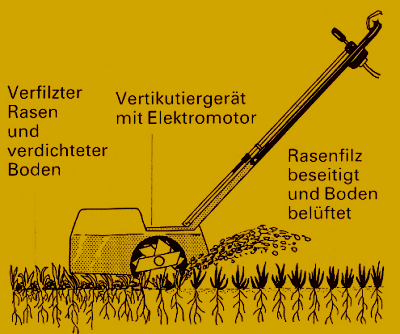 Zierrasen und Blumenwiese, Punkte die Sie beachten sollten