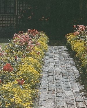 Gartenwege aus Stein und Holz, Auswahl und Material