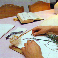 Herbarium