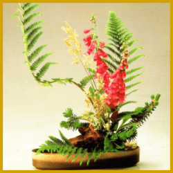 Ikebana die Kunst des Blumensteckens