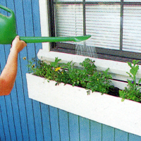 Bunter sommerlicher Blumenkasten in Regenbogenfarben 