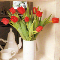 Tulpen